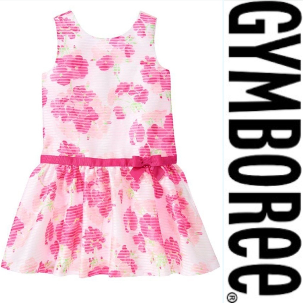 Gymboree Sleeveless Floral Organza‎ Occasion Dress